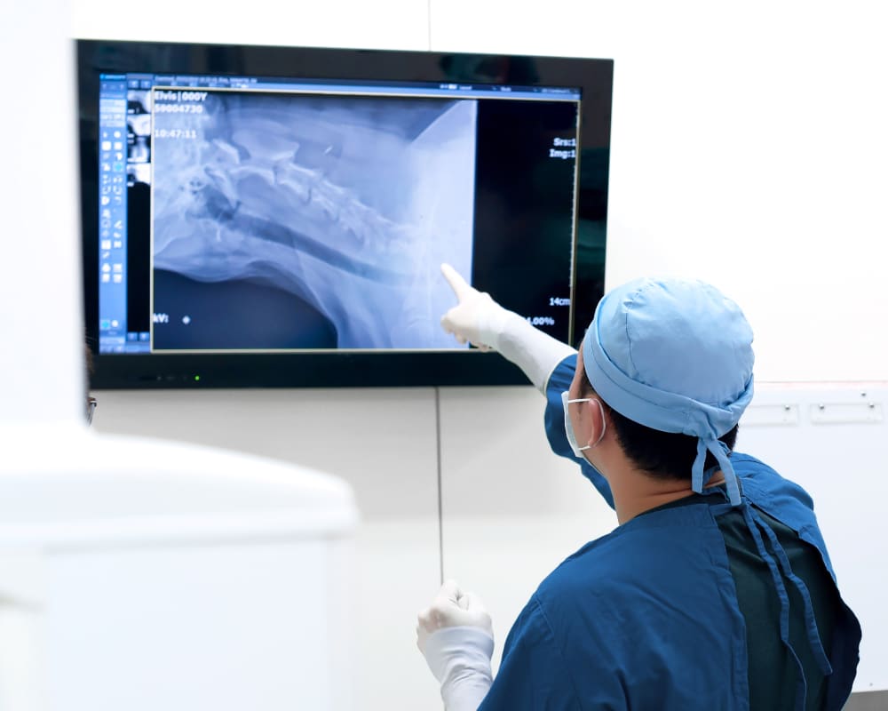 to Airport Pet Emergency Clinic